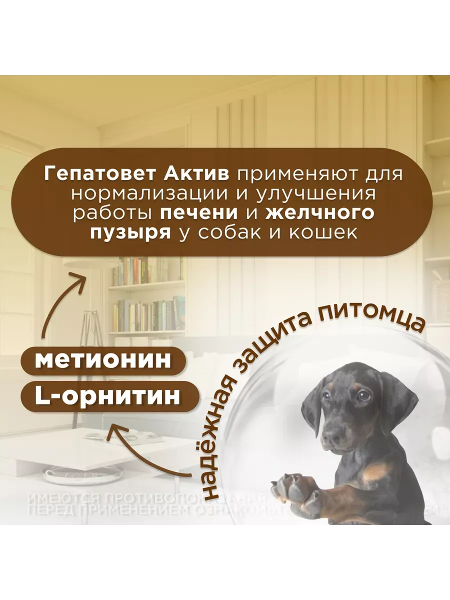 Гепатовет Актив суспензия для нормализации и улучшения работы печени у собак и кошек 100мл