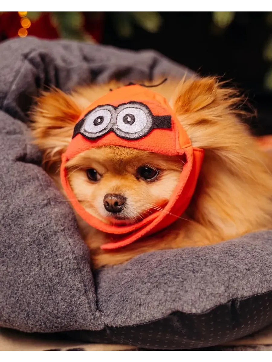 Изображение товара 1