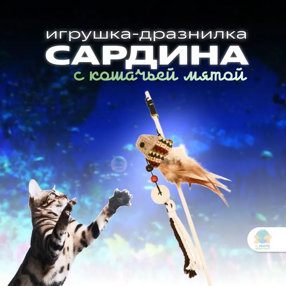 Миниатюра 2