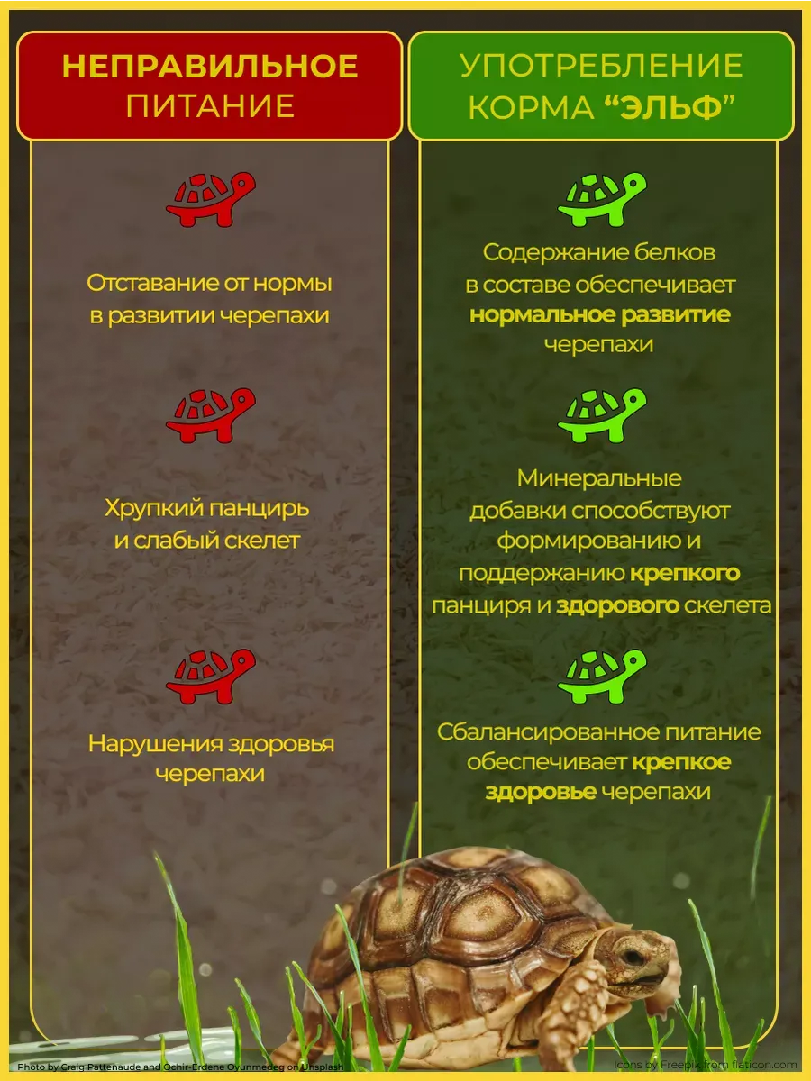 Изображение товара 1