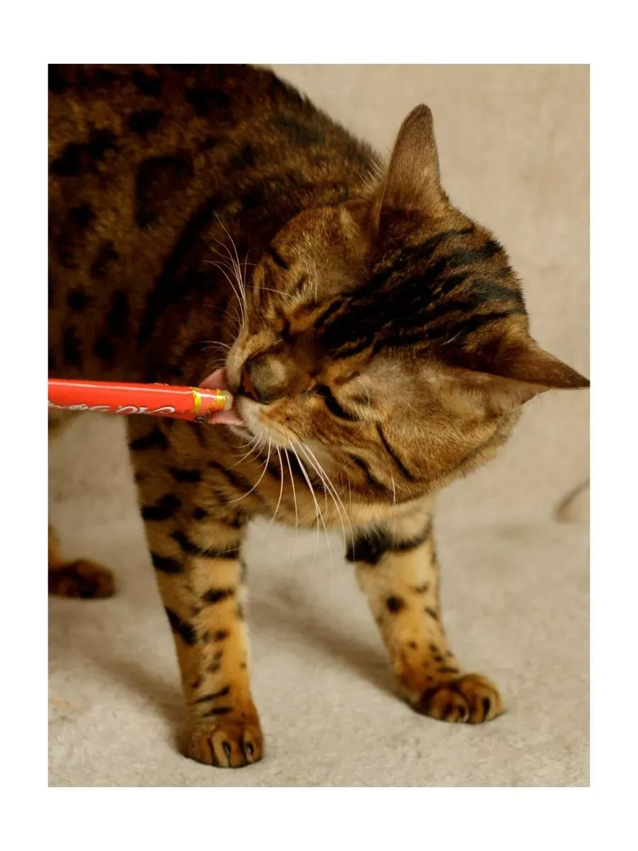 Миниатюра 3