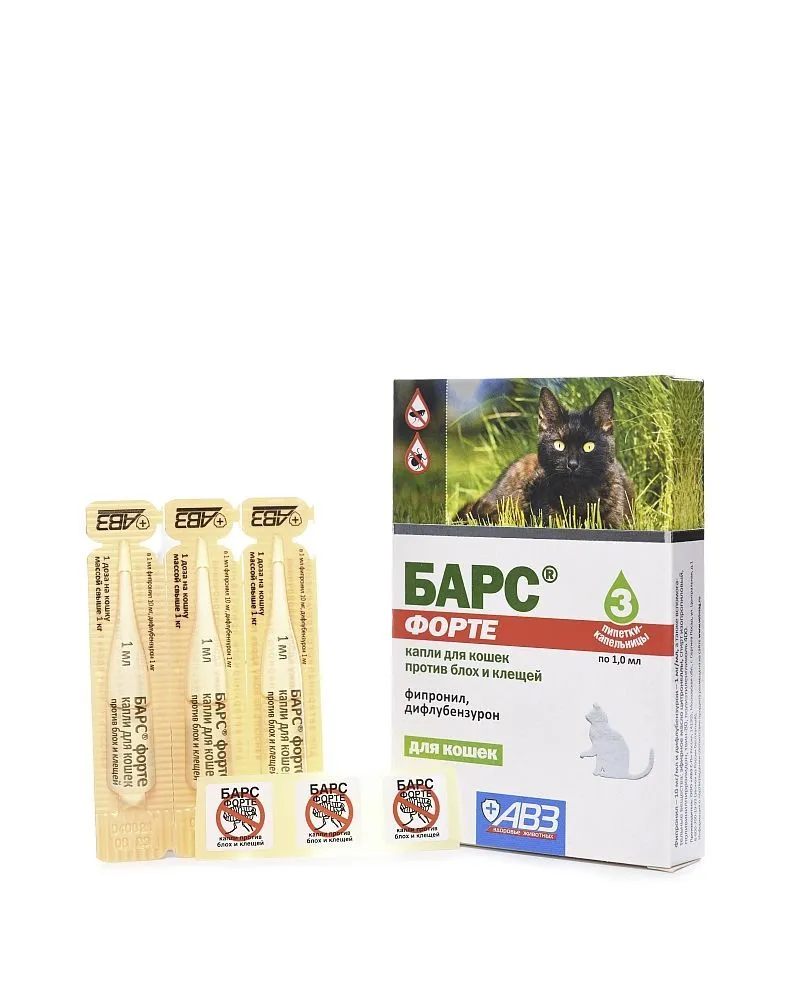 Миниатюра 4