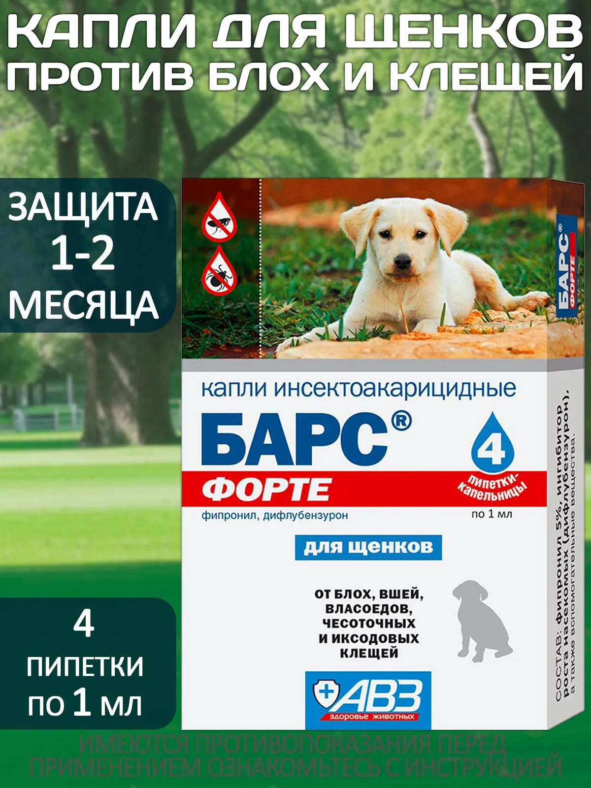 Миниатюра 2