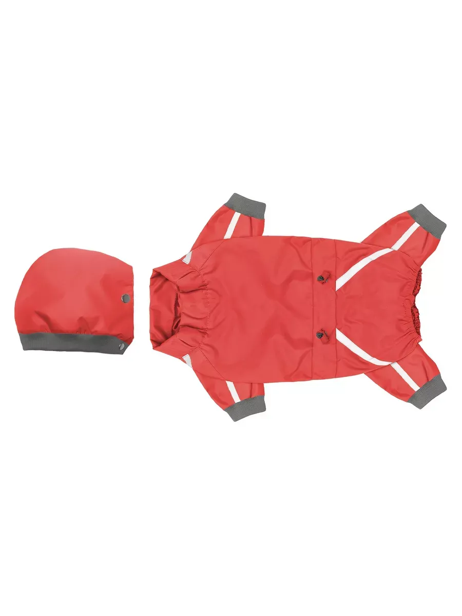 Миниатюра 4