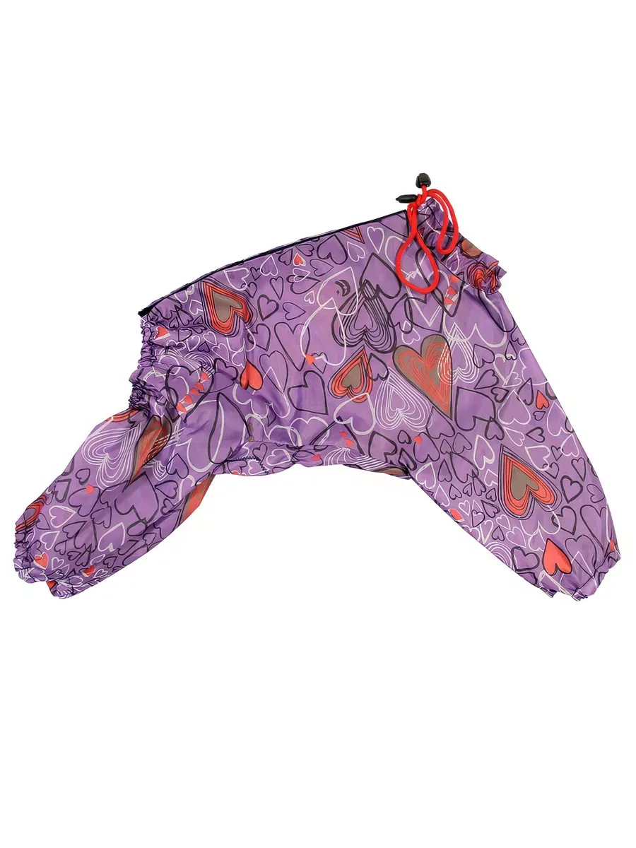 Миниатюра 2