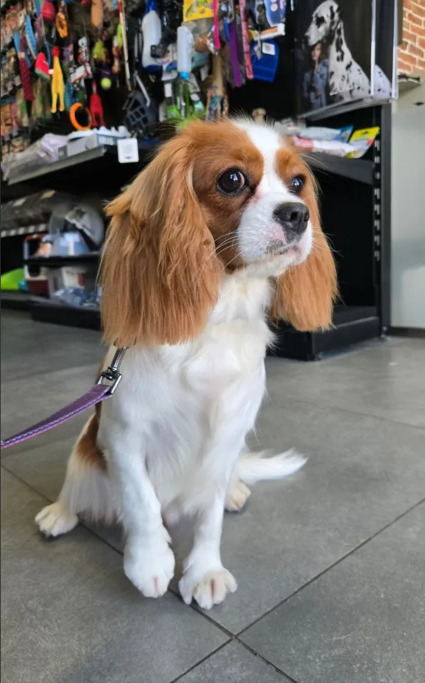 Тетя Нейтири