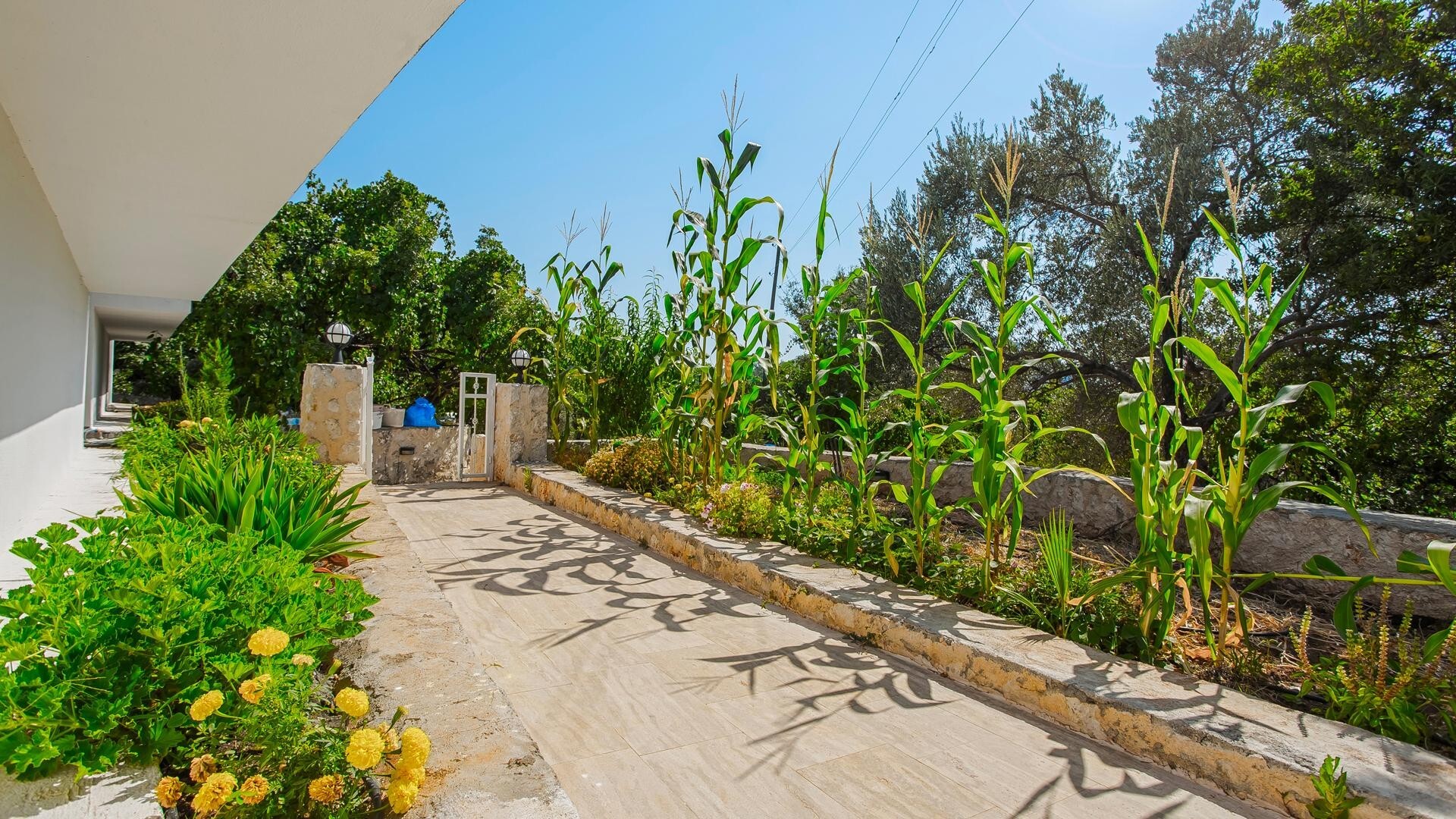VBK62206 Villa Booking