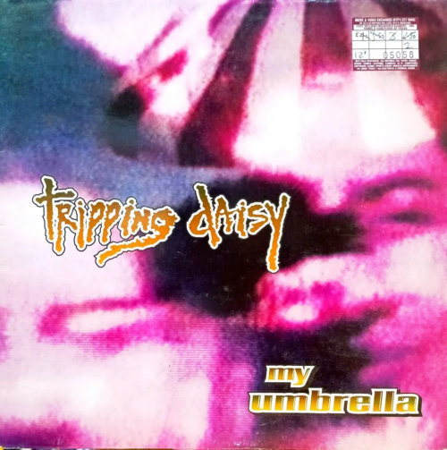 Tripping Daisy. Американская альтернативная рок-группа