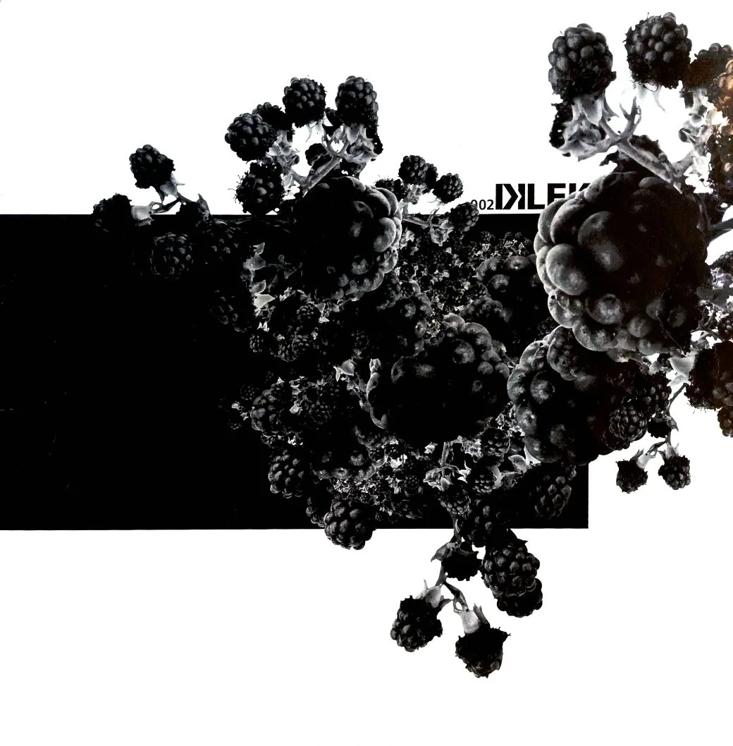 Dilek Records — Giza Visa EP (12", 002, Shadi Megallaa, 2008)