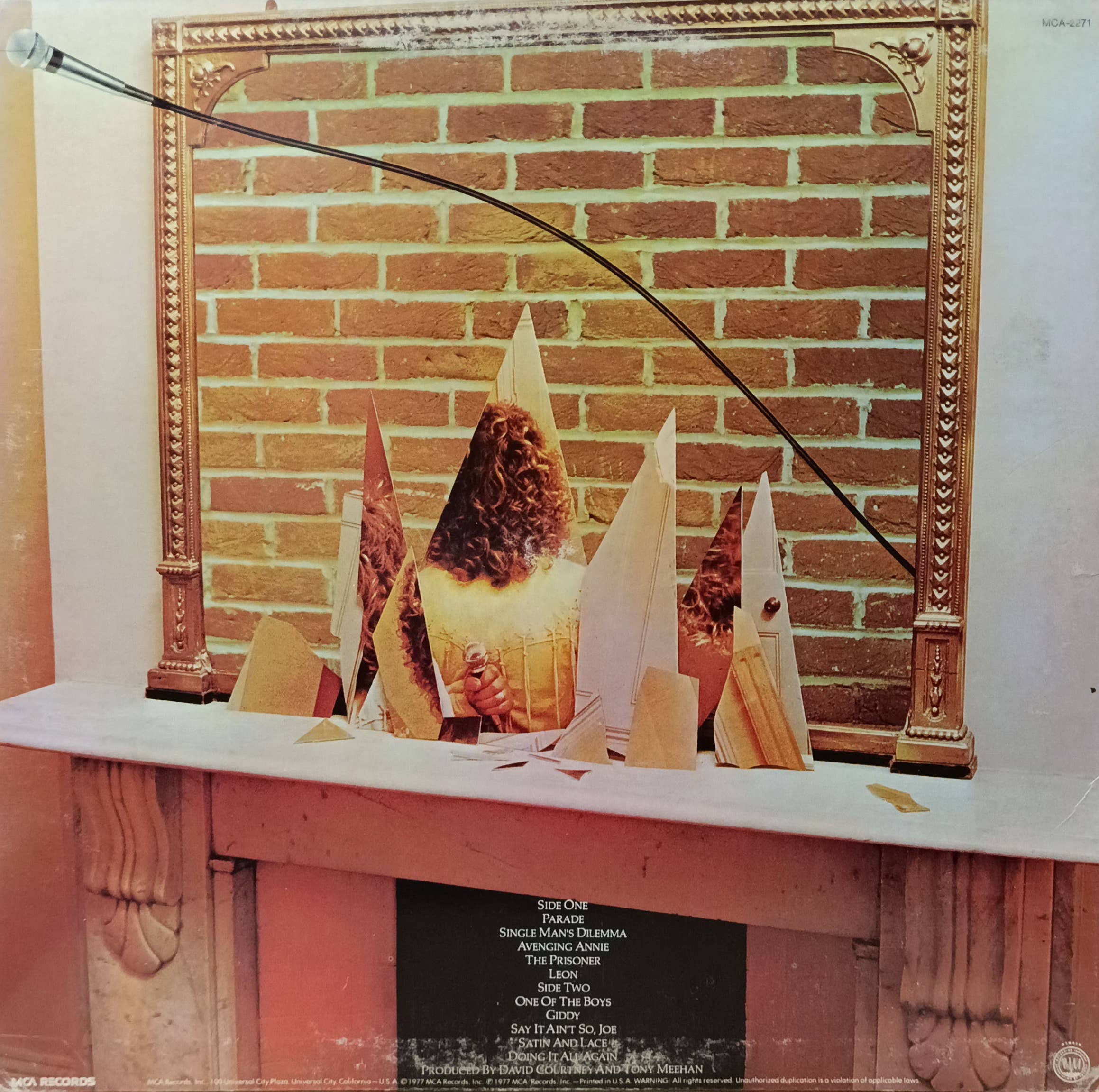 Roger Daltrey — «One Of The Boys» — виниловая пластинка LP — США, MCA Records, 1977 — изображение 2