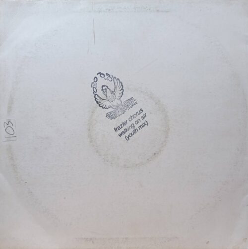 12‑дюймовый винил с треком «Walking On Air (Youth Mix)» британской группы Frazier Chorus.