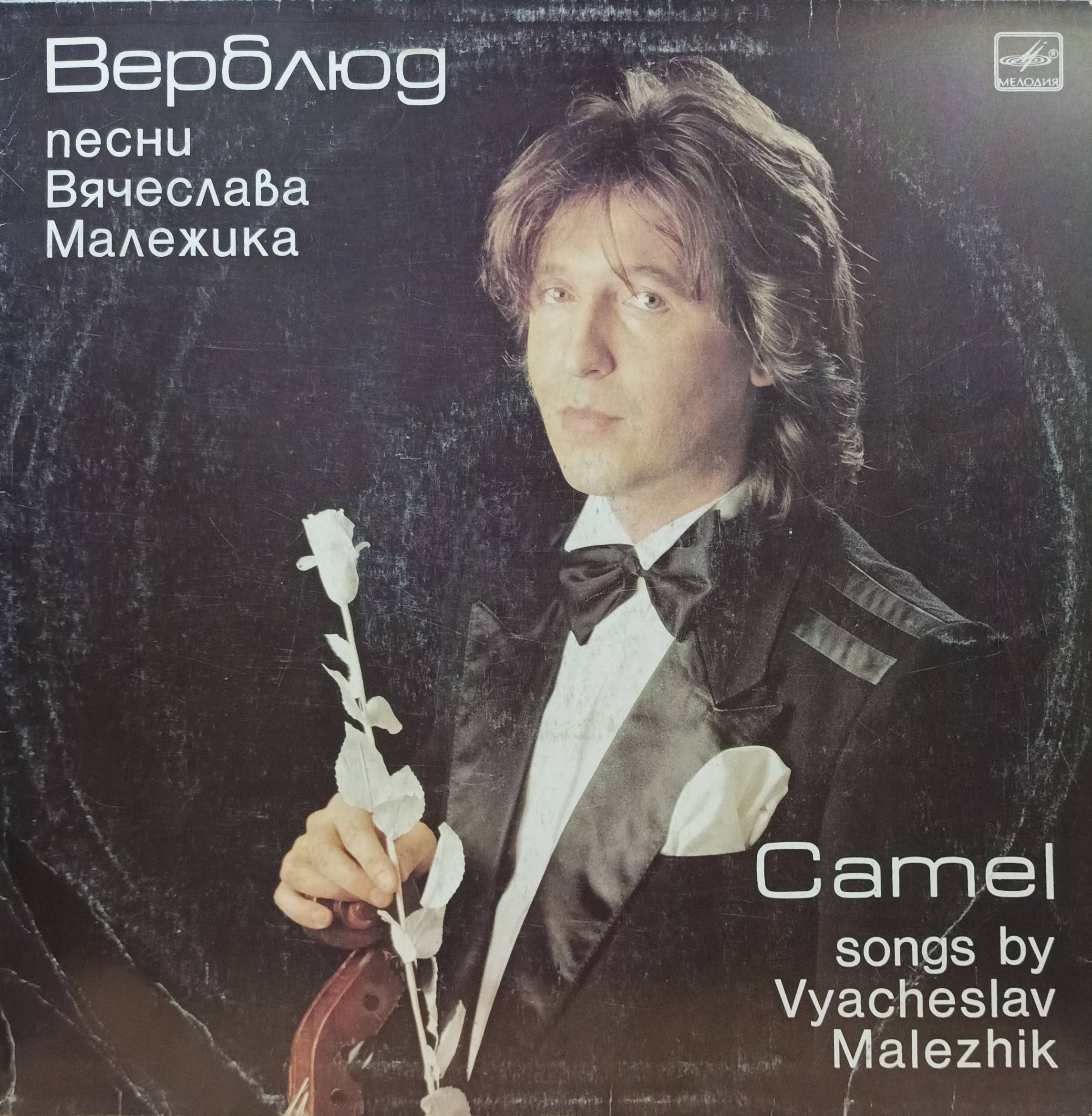 Вячеслав Малежик — «Верблюд» (Camel) — виниловая пластинка LP — СССР, 1988 — лейбл «Мелодия»