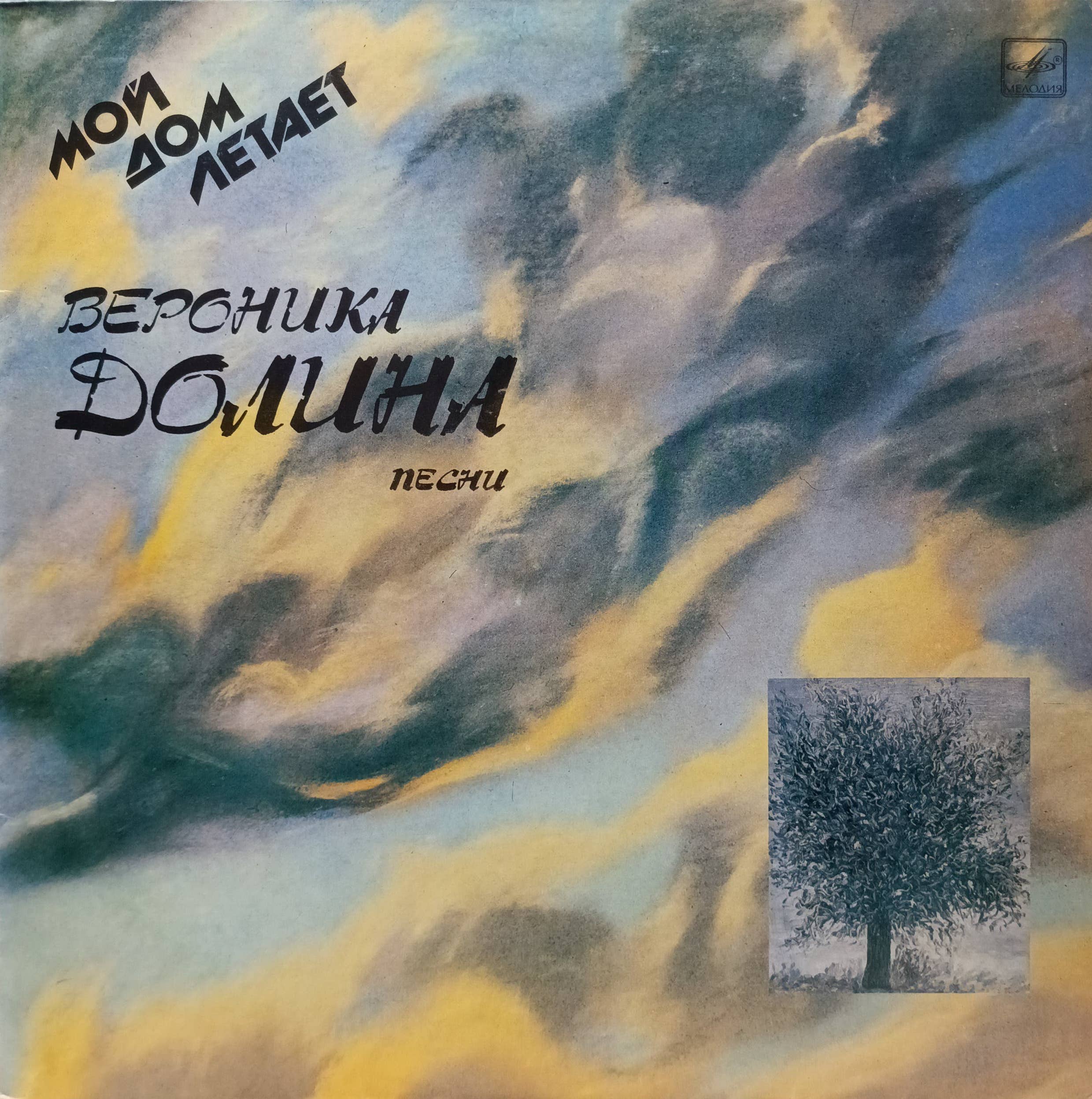 Вероника Долина — Мой дом летает — виниловая пластинка LP — СССР, 1989
