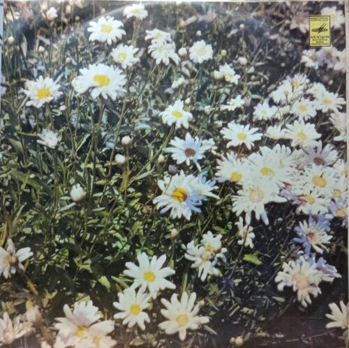Кикки — Полуночное солнце — виниловая пластинка LP, СССР, 1986