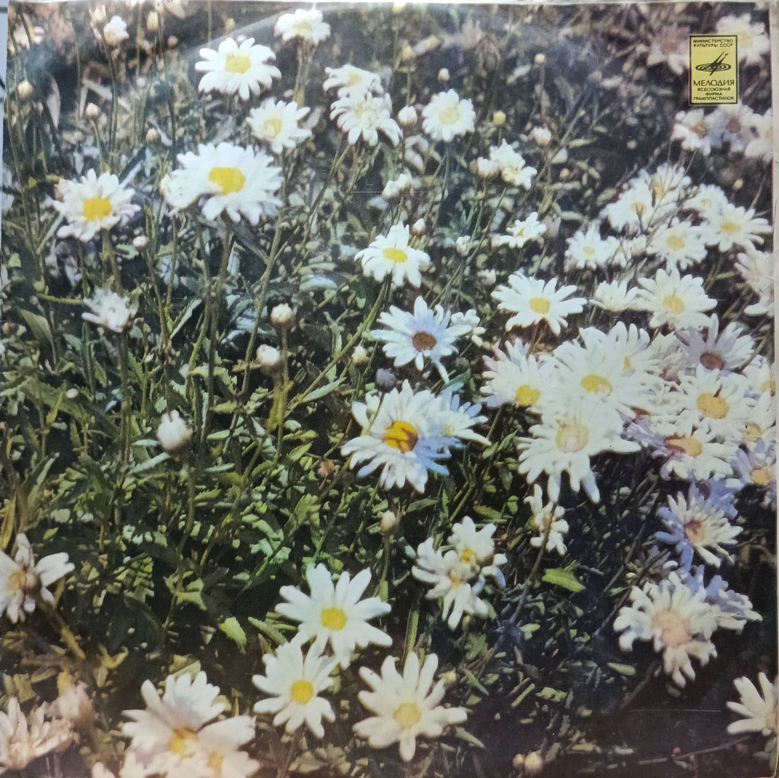 Кикки — Полуночное солнце — виниловая пластинка LP, СССР, 1986