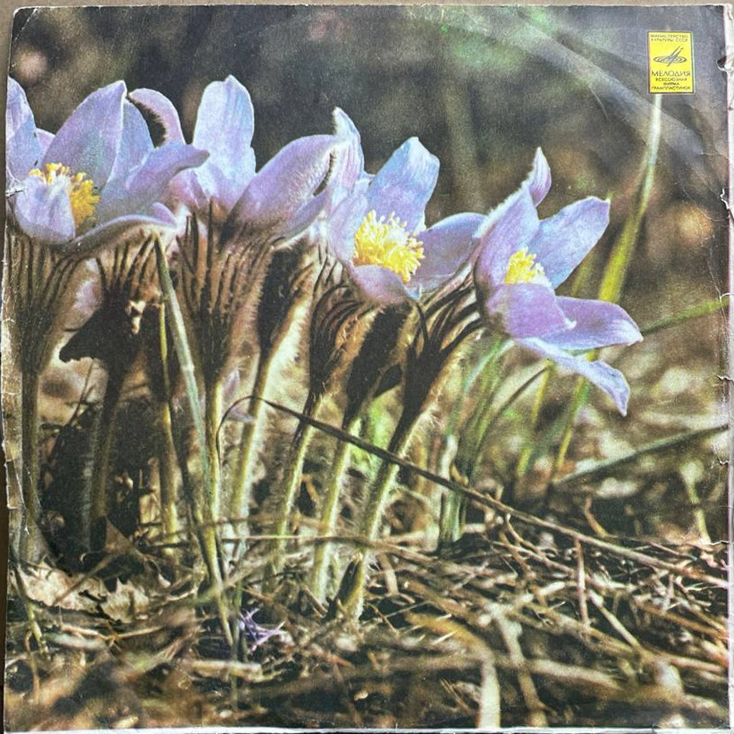 Валентин Никулин — виниловая пластинка LP — СССР «Мелодия» — лицевая сторона