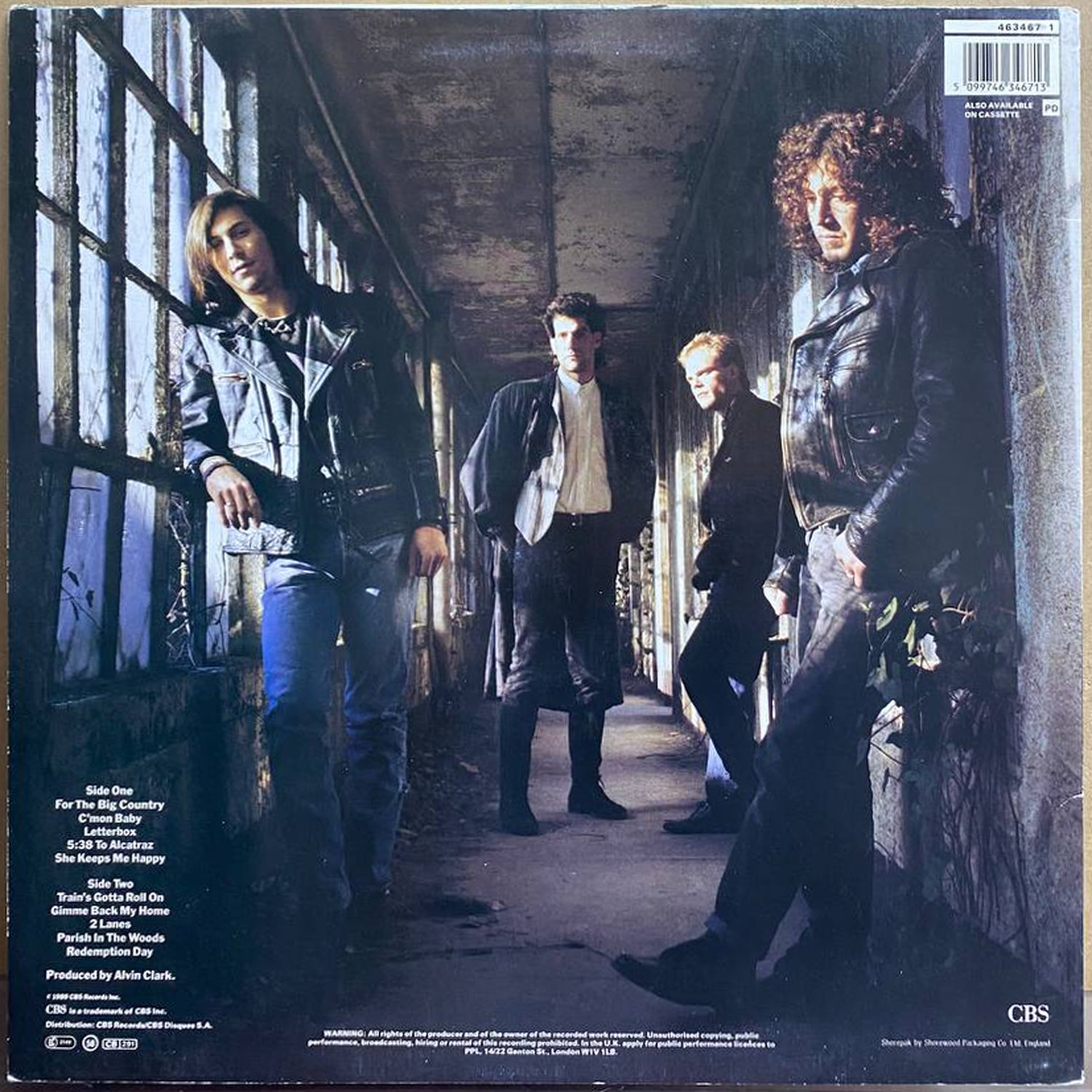 Pilgrim Souls — «Is This All Of Us?» — виниловая пластинка LP — Великобритания, 1989 «CBS» — оборот