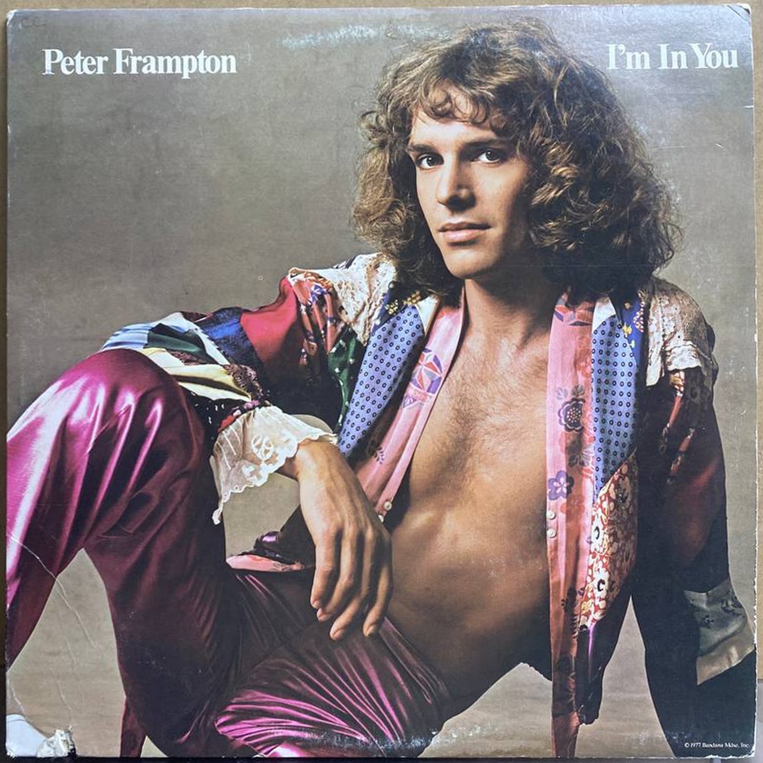 Peter Frampton — I'm In You, винил, 1977 — лицевая сторона конверта
