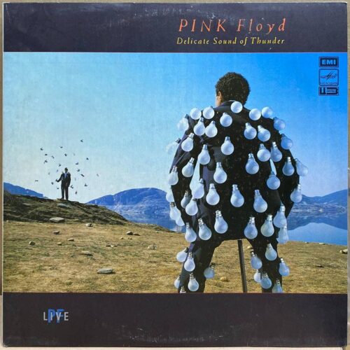 Pink Floyd — Delicate Sound of Thunder, винил, 1989 — лицевая сторона конверта