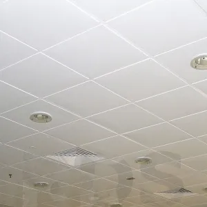 Панель АР600А6-Е Эконом/45/Т-24 А903RUS01/F d=1,5 белый матовый перф. — 2