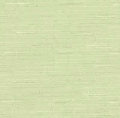 Штора рулонная СРШ-01МЭ-2468 47 (43)/160 РБ