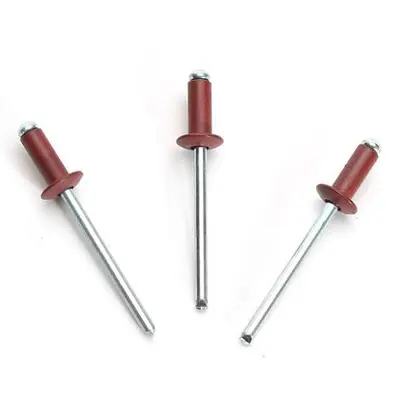 Заклепка ZK-4,8х12 RAL 3005
