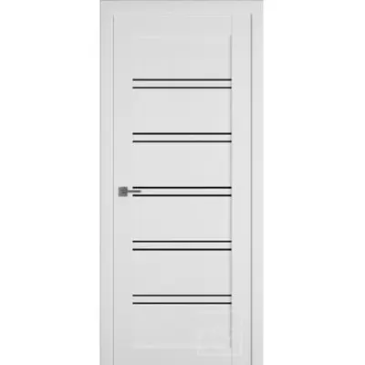 Дверь Emalex Е28 800х2000мм Steel Black gloss