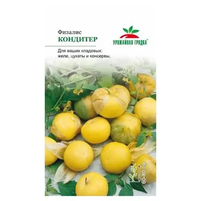Семена Физалис "Кондитер" /0,1г/