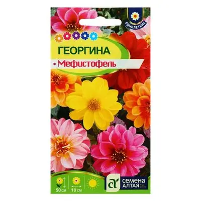 Семена Георгина "Мефистофель" /0,2г/