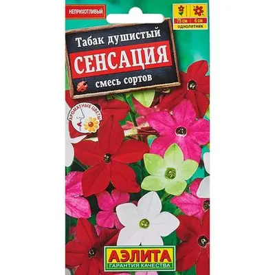 Семена Табак крылатый "Сенсация смесь" /0,2г/