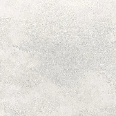 Обои ERISMANN Profi deco Veter 60560-04 / 1,06х10,0м (уп.6)