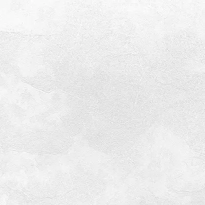 Обои ERISMANN Profi deco Veter 60560-02 / 1,06х10,0м (уп.6)