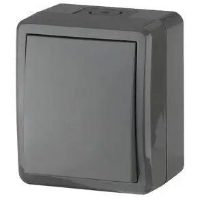 Выключатель IP54 Эра Эксперт 10АХ-250В  ОУ серый