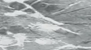Угол д / плитки 10мм мрамор белый наружный / Идеал /