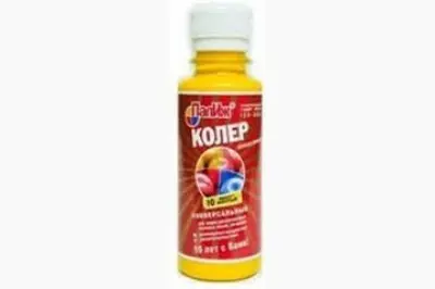 Краситель PALIZH №10 Ярко-желтый 0,1л.