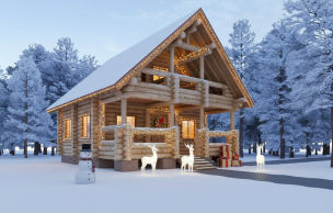 Дом из бревна VZ-121