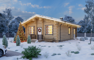 Дом из бревна VZ-135 