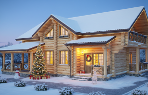 Дом из бревна VZ-151