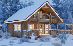 Дом из бревна VZ-160