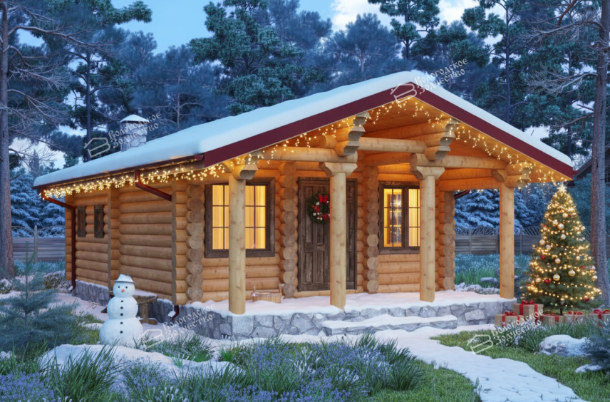 Дом из бревна VZ-161