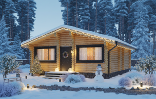 Дом из бревна VZ-170