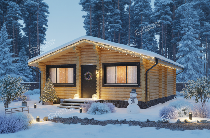 Дом из бревна VZ-170