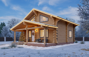 Дом из бревна VZ-173