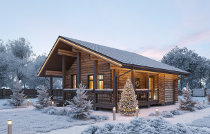 Дом из бревна VZ-201