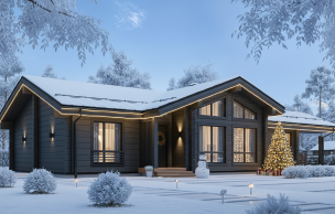 Дом из клееного бруса VZ-350