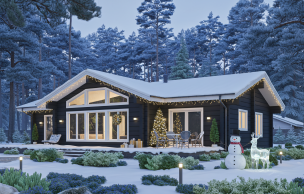 Дом из профилированного бруса VZ-355