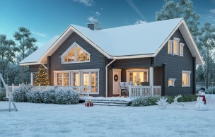 Дом из профилированного бруса VZ-369