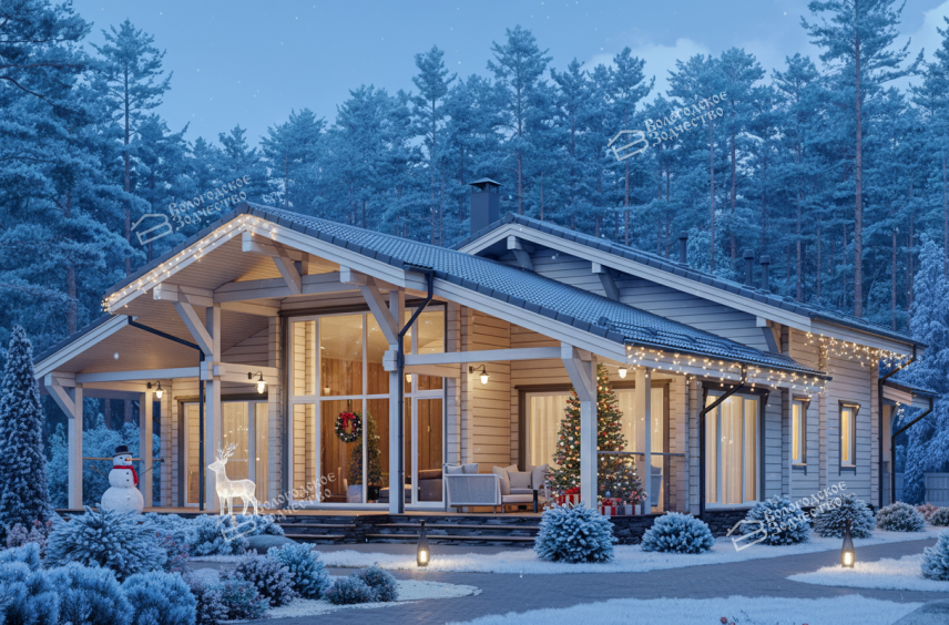 Дом из профилированного бруса VZ-401