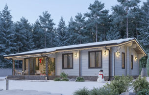 Дом из профилированного бруса VZ-415