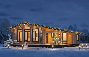 Дом из профилированного бруса VZ-477